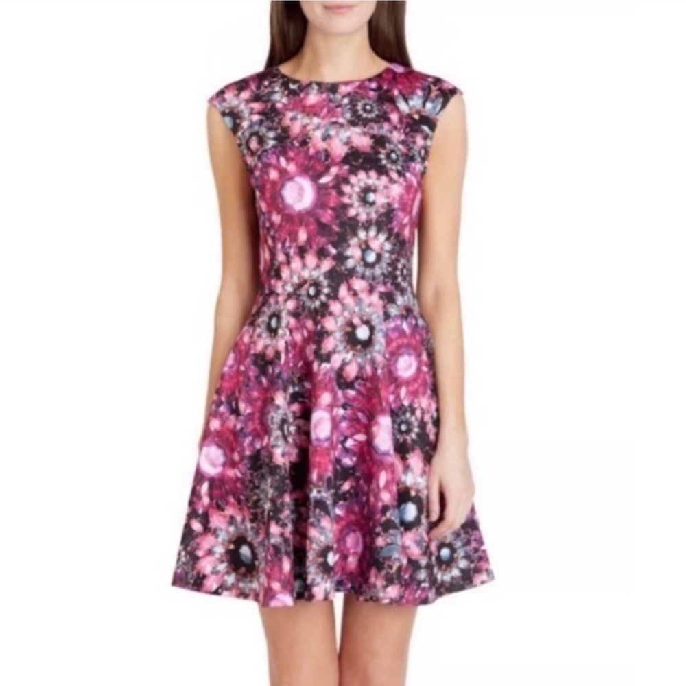 NEW Ted Baker London Wroxal Floral Scuba Dress in Pink Size XS or 0-2